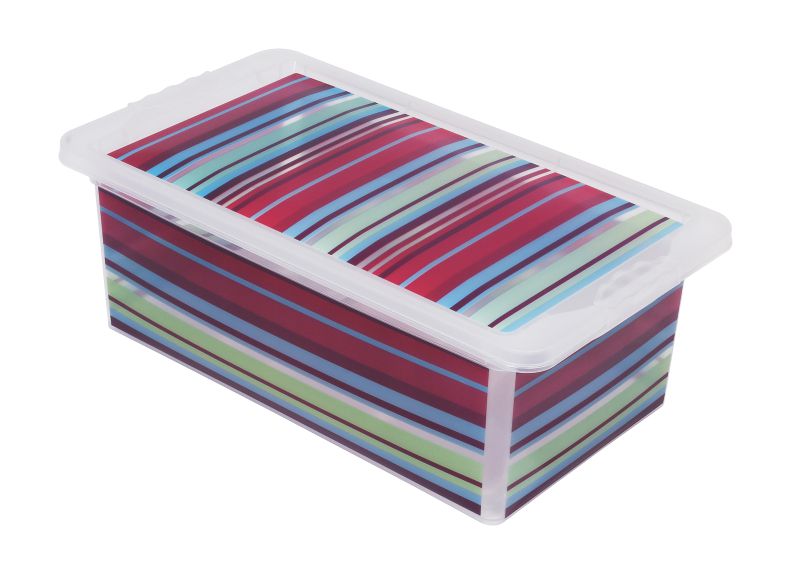 Caja Organizadora con Motivos